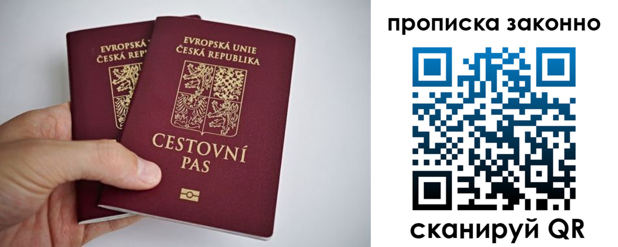 миграционный учет в Светлом